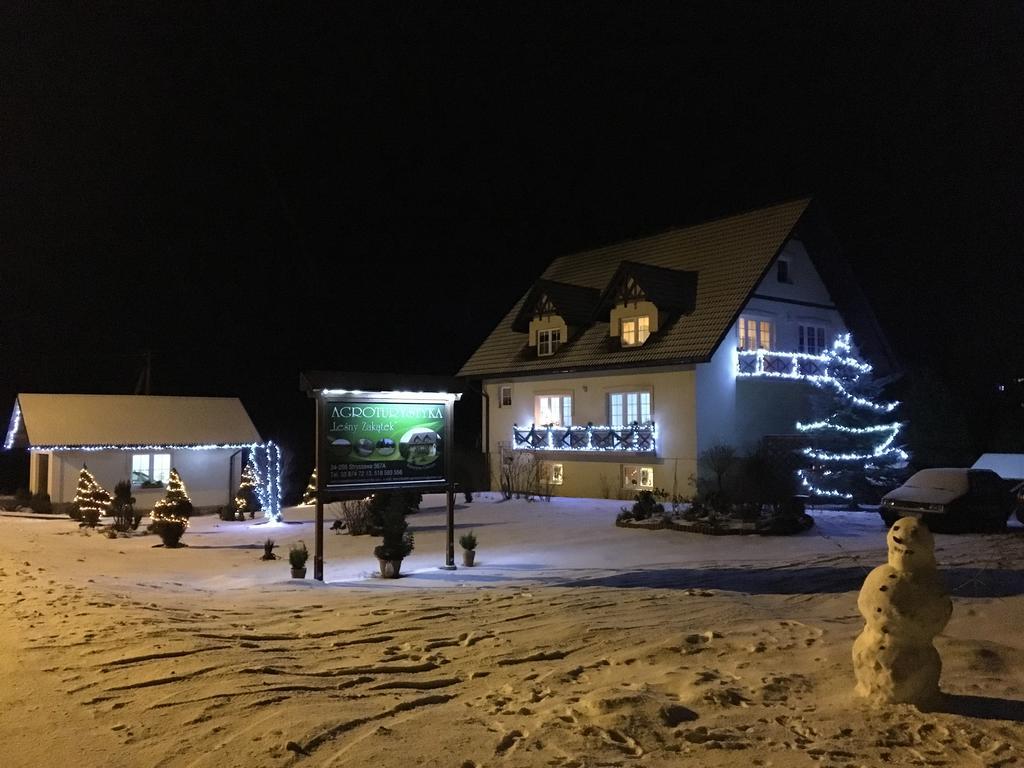 Agroturystyka Lesny Zakatek Stryszawa Eksteriør bilde